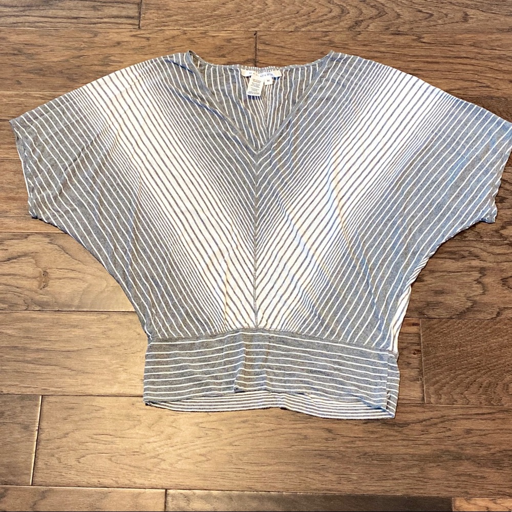 Max Studio Dolman Sleeve Striped Top